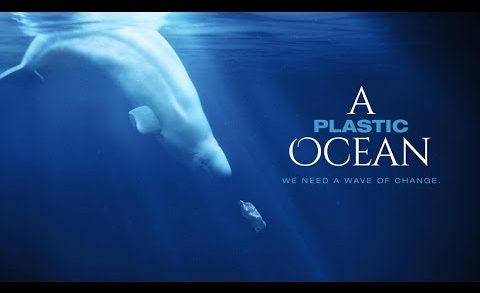 Save our Seas: A Plastic Ocean